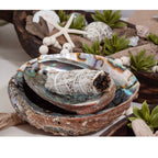 Hand-Selected Mexican Abalone Shell (4–5")