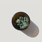 Cape Cod Spirulina & Magnesium Detoxifying Body Scrub