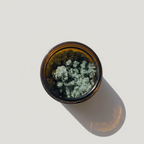 Cape Cod Spirulina & Magnesium Detoxifying Body Scrub