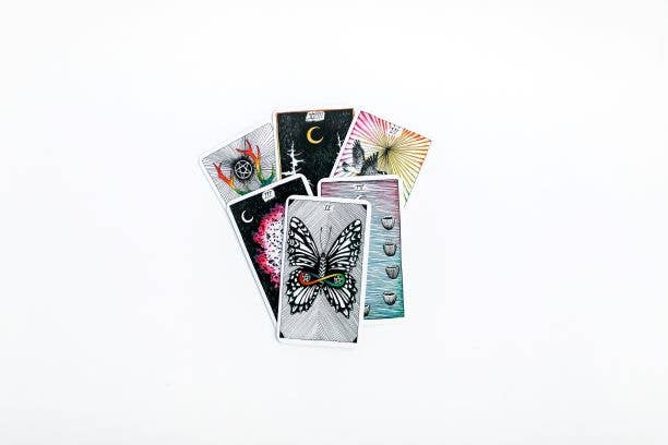 The Wild Unknown Tarot Deck & Guidebook Box Set