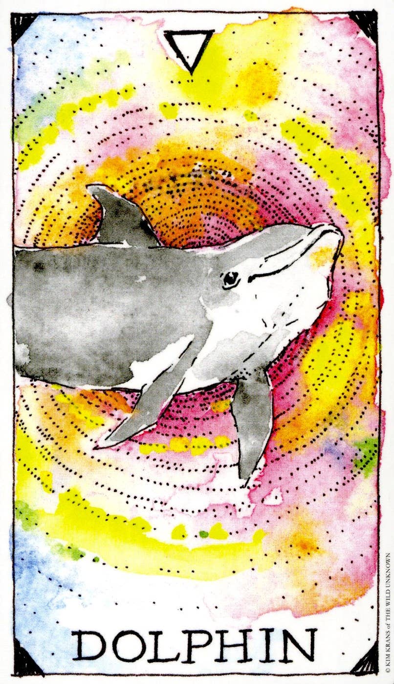 The Wild Unknown Animal Spirit Deck & Guidebook Box Set