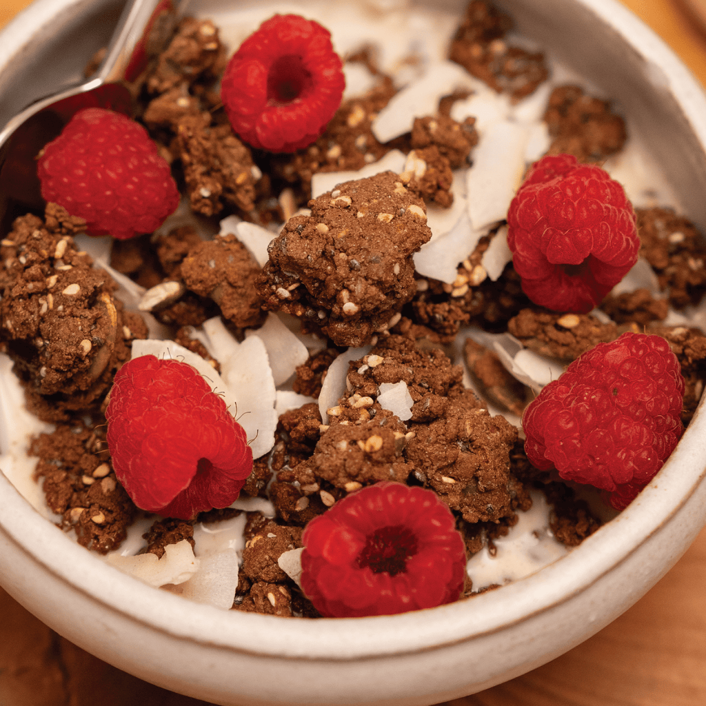 ProGranola® Chocolate Cluster 9oz